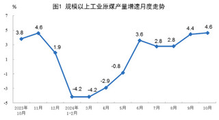 2024年10月份能源生产情况